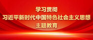 又粗又长又爽的操人视频学习贯彻习近平新时代中国特色社会主义思想主题教育_fororder_ad-371X160(2)